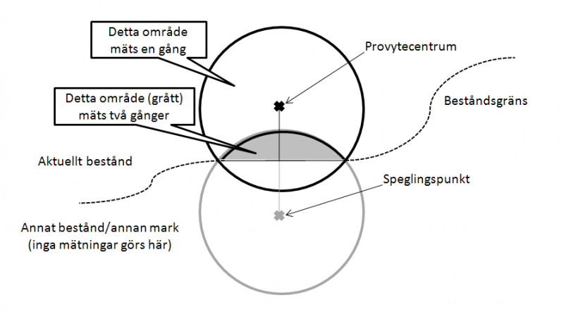 File:Spegling.png